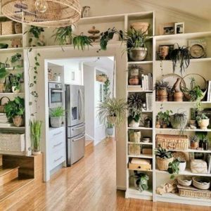 Meet your Posher, Phillip